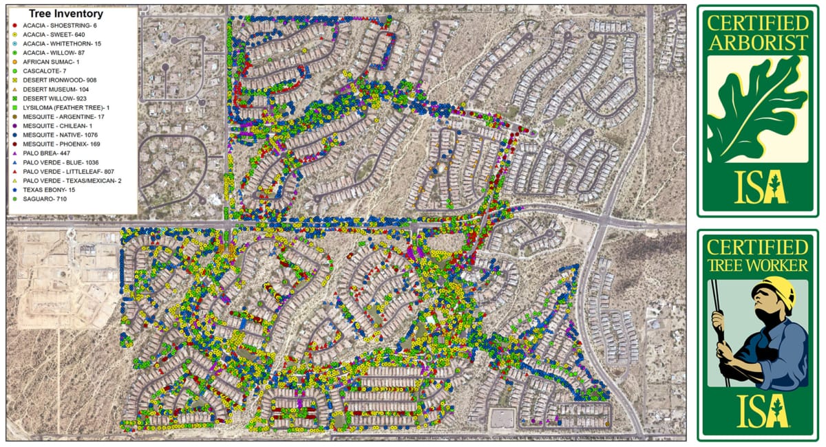 Arbor Management DLC Resources